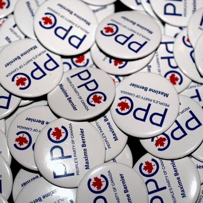 People's Party candidate must stop using 'engineer,' B.C. Supreme Court rules